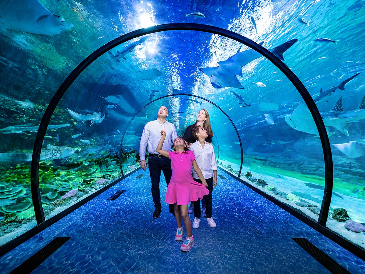 The National Aquarium Abu Dhabi - General Admission or All Access Pass
