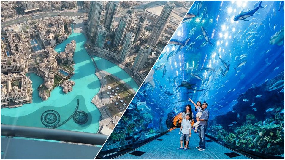 Burj Khalifa At the Top, Dubai Mall Aquarium, Penguin Cove Packages Available