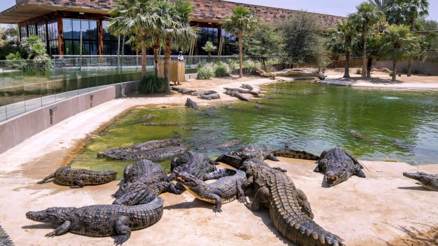 Dubai Crocodile Park - Entry into Museum and Aquarium